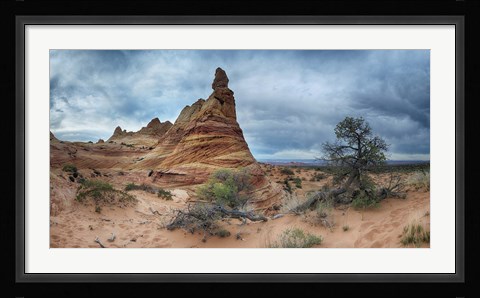 Framed Cottonwood III Print