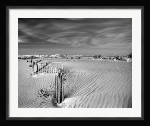 Framed Anglesea Moire Print