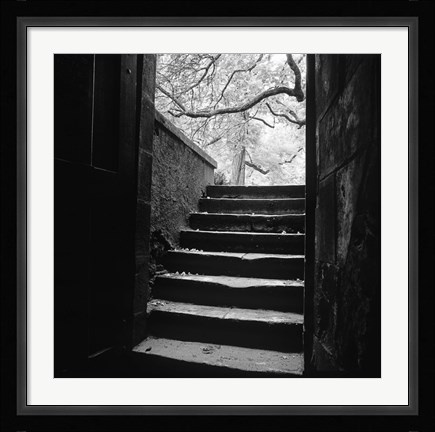 Framed Chenonceaux Print