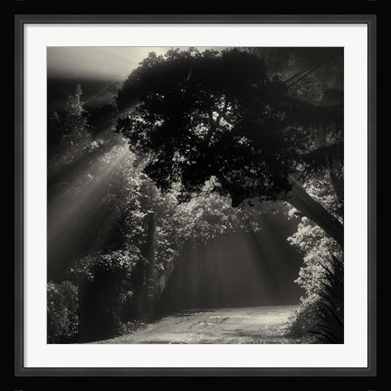 Framed What We Say When We're Falling Print