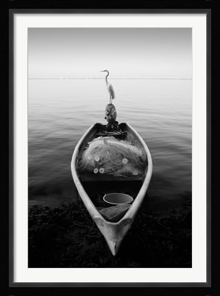 Framed Canoe And A Heron Print