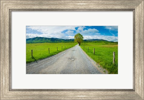 Framed Country gravel road passing through a field, Hyatt Lane, Cades Cove, Great Smoky Mountains National Park, Tennessee Print