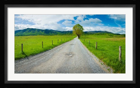 Framed Country gravel road passing through a field, Hyatt Lane, Cades Cove, Great Smoky Mountains National Park, Tennessee Print