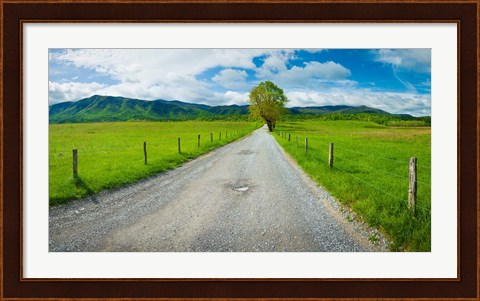 Framed Country gravel road passing through a field, Hyatt Lane, Cades Cove, Great Smoky Mountains National Park, Tennessee Print