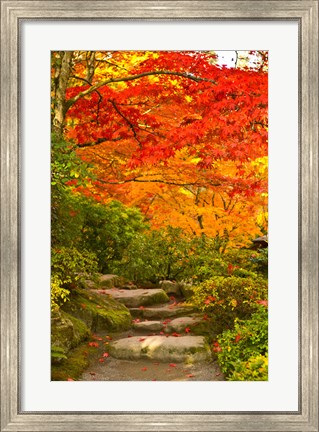 Framed Stone steps in a forest in autumn, Washington State, USA Print