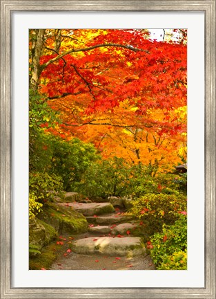 Framed Stone steps in a forest in autumn, Washington State, USA Print