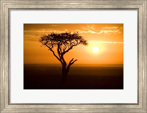 Framed Silhouette of tree at dusk, Tanzania Print