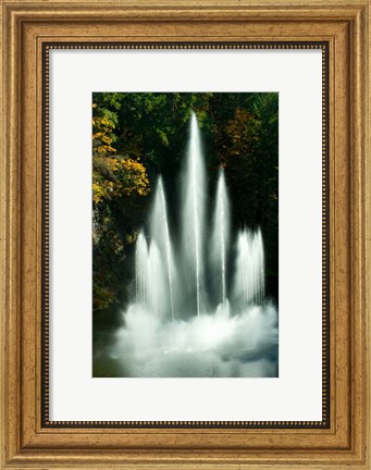 Framed Waterfall in a garden, Butchart Gardens, Victoria, Vancouver Island, British Columbia, Canada Print