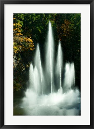 Framed Waterfall in a garden, Butchart Gardens, Victoria, Vancouver Island, British Columbia, Canada Print