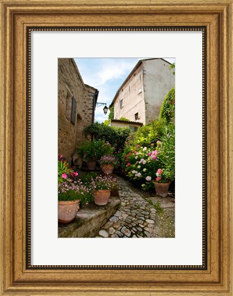 Framed Flowers pots on street, Lacoste, Vaucluse, Provence-Alpes-Cote d&#39;Azur, France Print