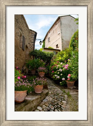 Framed Flowers pots on street, Lacoste, Vaucluse, Provence-Alpes-Cote d&#39;Azur, France Print