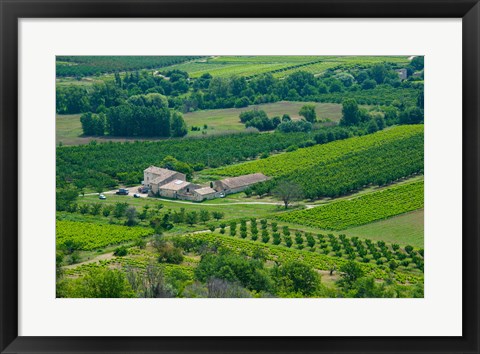 Framed Farmhouse in a field, Lacoste, Vaucluse, Provence-Alpes-Cote d&#39;Azur, France Print
