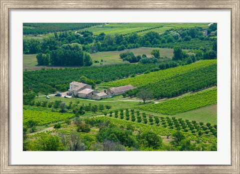 Framed Farmhouse in a field, Lacoste, Vaucluse, Provence-Alpes-Cote d&#39;Azur, France Print