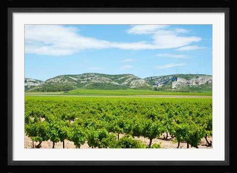 Framed Vineyards with hills in the background, Alpilles, Route d'Orgon, Eyguieres, Bouches-Du-Rhone, Provence-Alpes-Cote d'Azur, France Print