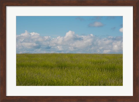 Framed Lavender Field, France Print