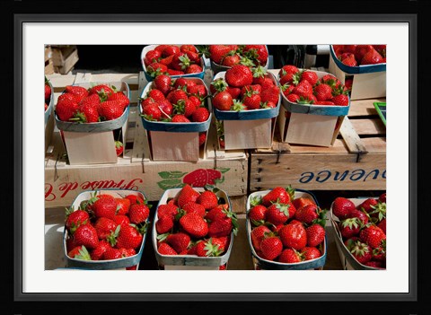 Framed Strawberries for sale at weekly market, Arles, Bouches-Du-Rhone, Provence-Alpes-Cote d'Azur, France Print