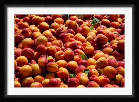 Framed Nectarines for sale at weekly market, St.-Remy-de-Provence, Bouches-Du-Rhone, Provence-Alpes-Cote d'Azur, France Print