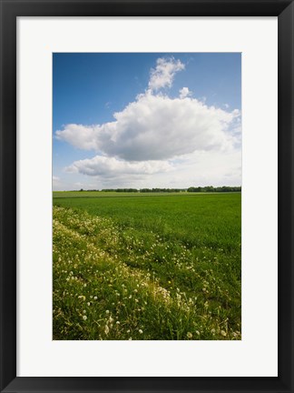 Framed Farm field in springtime, Bergen, Lower Saxony, Germany Print