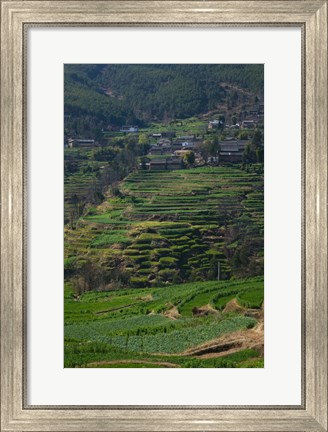 Framed Houses with terraced fields at mountainside, Heqing, Yunnan Province, China Print