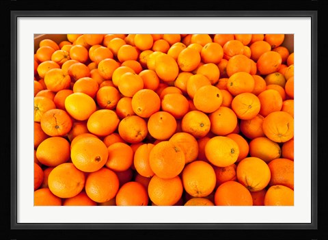Framed Close-up of oranges, Santa Paula, Ventura County, California, USA Print