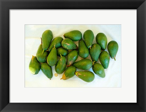 Framed Avocados in a bunch, Santa Paula, Ventura County, California, USA Print