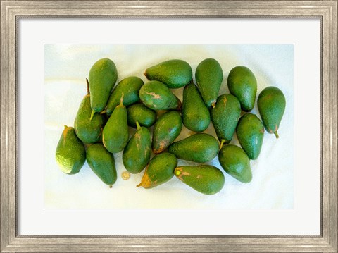 Framed Avocados in a bunch, Santa Paula, Ventura County, California, USA Print