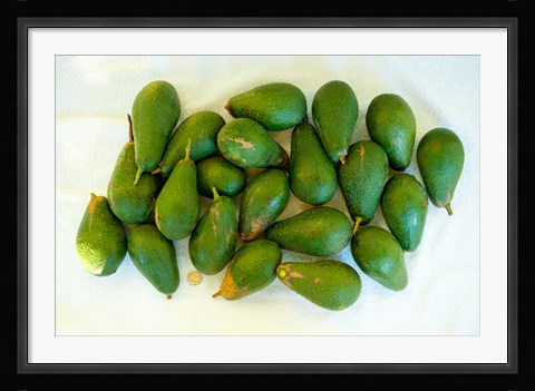 Framed Avocados in a bunch, Santa Paula, Ventura County, California, USA Print