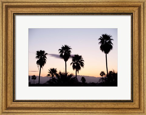 Framed Silhouette of palm trees at dusk, Palm Springs, Riverside County, California, USA Print