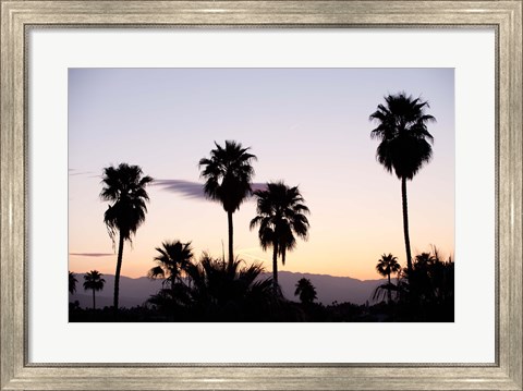 Framed Silhouette of palm trees at dusk, Palm Springs, Riverside County, California, USA Print