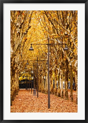Framed Esplanade des Quinconces park in autumn, Bordeaux, Gironde, Aquitaine, France Print