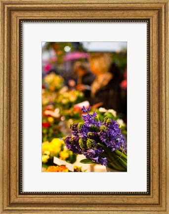 Framed Bunch of flowers at a flower shop, Rue De Buci, Paris, Ile-de-France, France Print