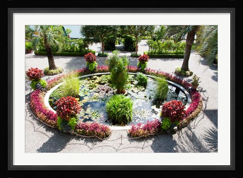 Framed Lily pads in a pond, Isola Madre, Stresa, Lake Maggiore, Italy Print