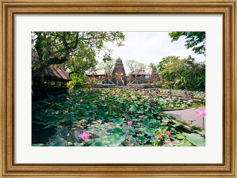 Framed Water lilies in a pond at the Pura Taman Saraswati Temple, Ubud, Bali, Indonesia Print