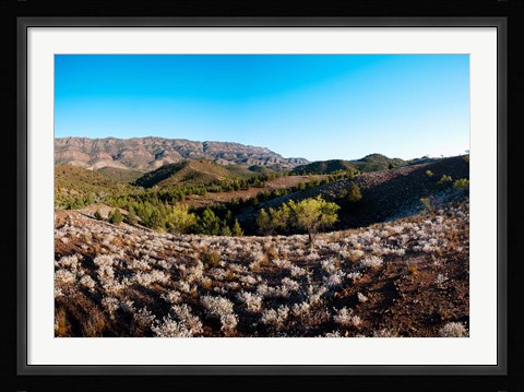 Framed Typical outback landscape, Hawker, Flinders Ranges National Park, South Australia, Australia Print