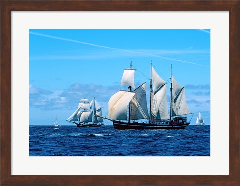 Framed Tall ship regatta, France Print