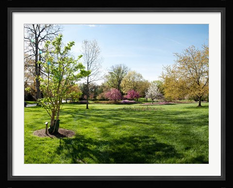 Framed Sherwood Gardens, Baltimore Print