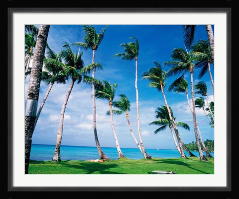 Framed Palm trees Turkey Print