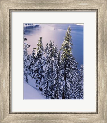 Framed Snow Covered Trees at South Rim, Crater Lake National Park, Oregon Print