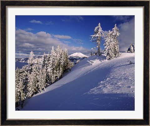 Framed Snow covered trees in winter, Mt. Scott, Crater Lake National Park, Oregon, USA Print