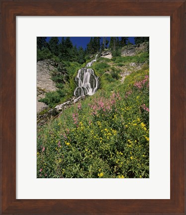 Framed Fireweed at Vidae Falls, Crater Lake National Park, Oregon, USA Print