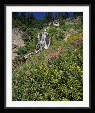 Framed Fireweed at Vidae Falls, Crater Lake National Park, Oregon, USA Print