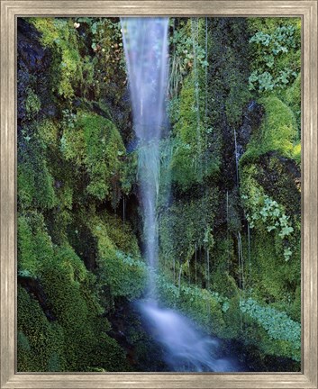 Framed Wheeler Creek Waterfall on Dutton Ridge, Crater Lake National Park, Oregon, USA Print