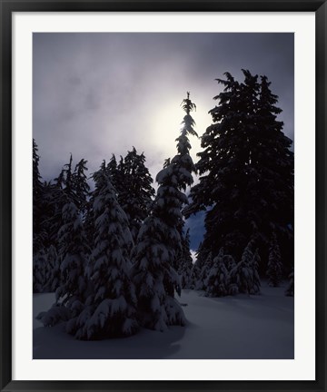 Framed Munson Ridge, Crater Lake National Park, Oregon Print