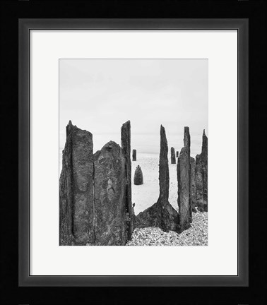 Framed Bay Wraiths Print