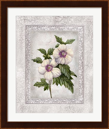Framed Floral I Print