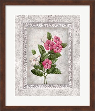 Framed Floral III Print