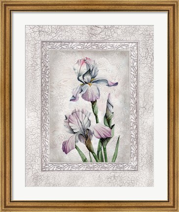 Framed Floral IV Print