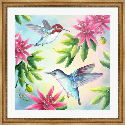 Framed Bee Hummingbirds Print