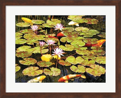 Framed Koi Pond I Print