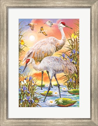 Framed Sandhill Cranes Print
